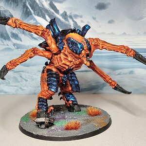 1000022357.jpg