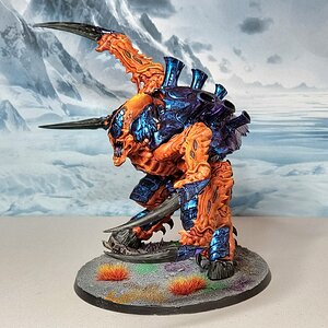1000022362.jpg