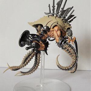 Drukhari2.jpg