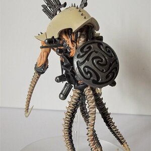 Drukhari4.jpg