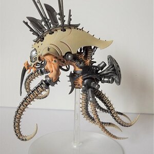 Drukhari5.jpg
