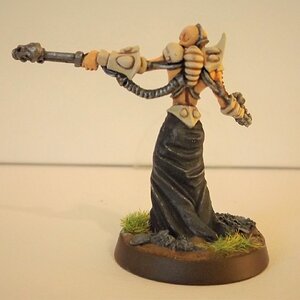 Drukhari11.jpg