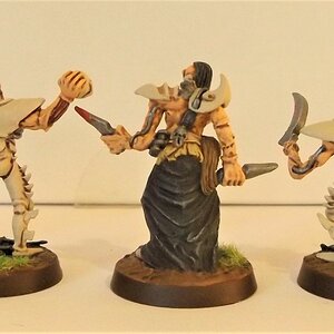 Drukhari13.jpg
