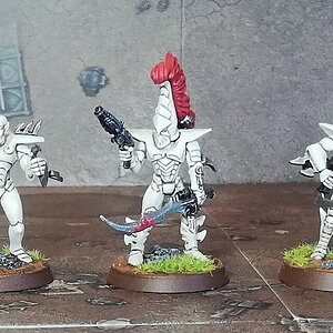 Drukhari16.jpg