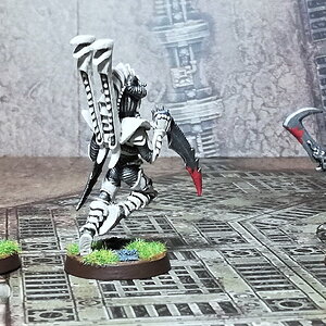 Drukhari22.jpg