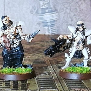 Drukhari23.jpg