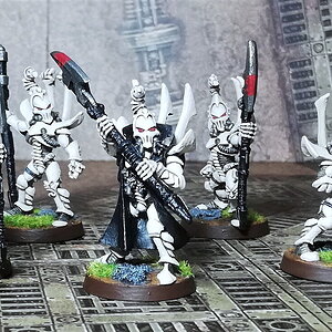 Drukhari24.jpg