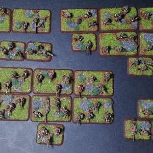 FoW5.jpg
