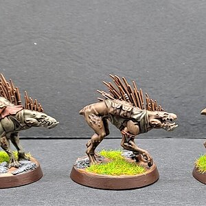 Kroot1.jpg