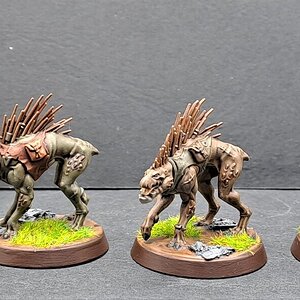 Kroot2.jpg
