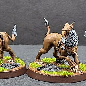 Stormcast74.jpg