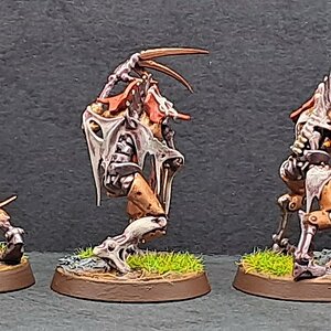 Necrons41.jpg
