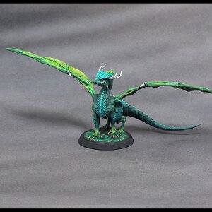 test neues Fotosetup.jpg