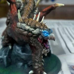 junger brauner Drache_Gesicht.jpg