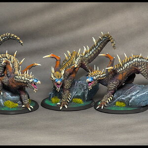 junge braune Drachen_trio.jpg