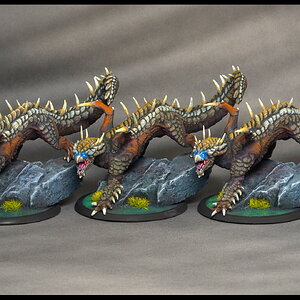 junge braune Drachen_vorne.jpg