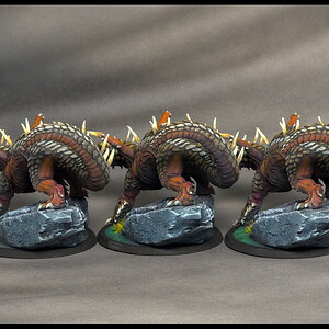 junge braune Drachen_rechts.jpg