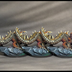 junge braune Drachen_hinten.jpg
