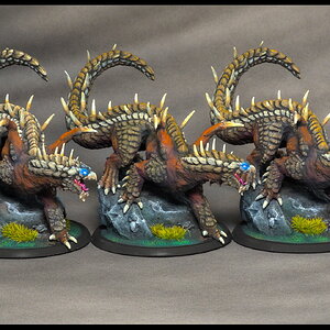 junge braune Drachen_links.jpg
