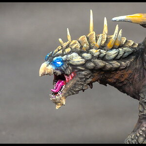 junge braune Drachen_Gesicht.jpg