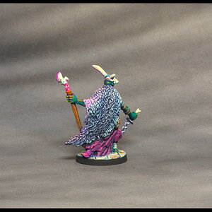 Ork Druide hinten.jpg