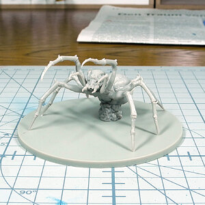 Spinne groß WIP.JPG