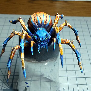 Spinne groß v2_vorne.jpg