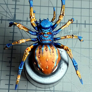 Spinne groß v2_oben.jpg