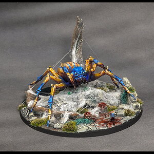 Spinne groß_vorne rechts.jpg