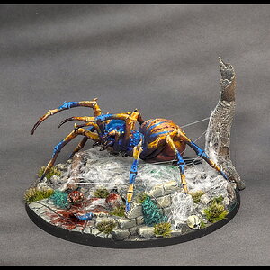 Spinne groß_vorne links.jpg