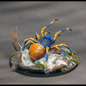 Spinne groß_hinten rechts.jpg
