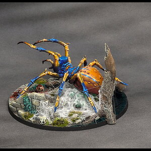 Spinne groß_hinten links.jpg