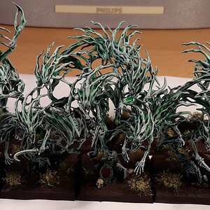 20201010_112041.jpg