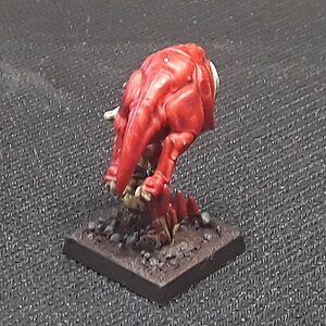 Squigs2.jpg