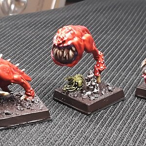 Squigs2_vorn.jpg