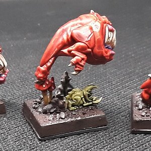 Squigs2_hinten.jpg