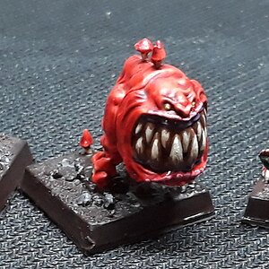 Squigs3_vorne.jpg