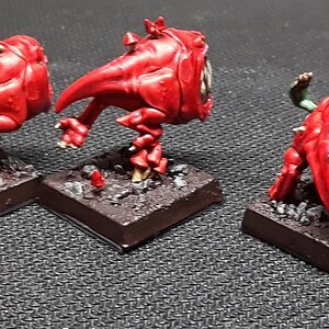 Squigs3_hinten.jpg