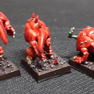 Squigs4_hinten.jpg