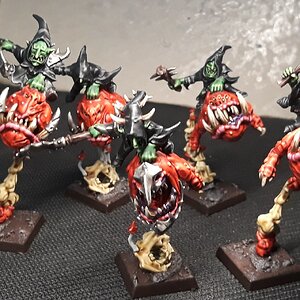 SquigHoppa (6).jpg