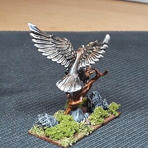 Riesenadler (2).jpg