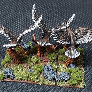 Riesenadler (4).jpg