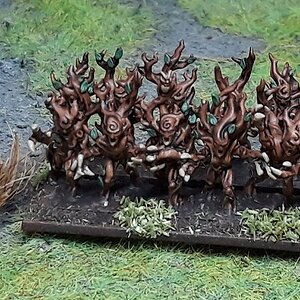 Dryaden (1).jpg