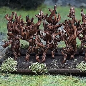 Dryaden (2).jpg