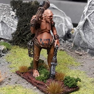 Riese1 (4).jpg