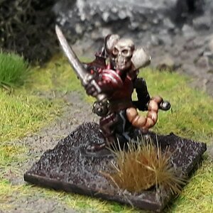 Queek (2).jpg