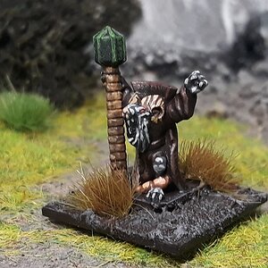 Grauer1 (1).jpg