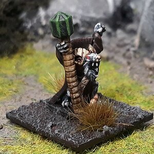 Grauer1 (3).jpg