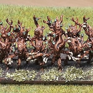Dryaden2 (1).jpg