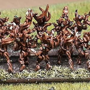 Dryaden2 (2).jpg